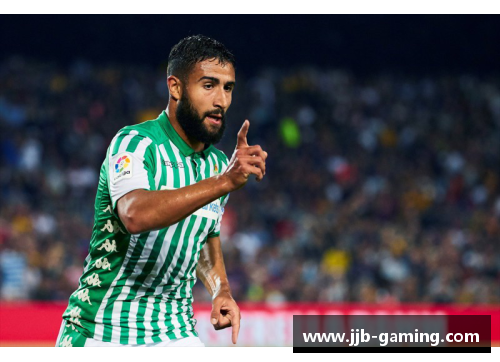 法国球员费基尔：他的职业生涯和成就